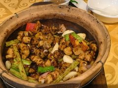 -天宝食坊·啫啫煲大排档(西华路店)