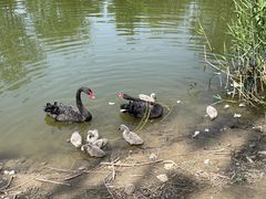 -大运河源头遗址公园