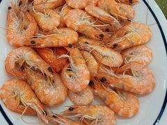 -新渔享海鲜餐厅(广海渔人码头店)