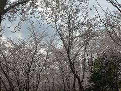 -堤角公园