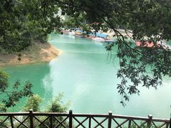 -广州市流溪河国家森林公园