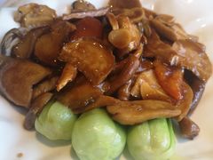 黑蒜烧珍菌-玉林烤鸭店(黄村康庄店)