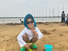 -碧海金沙