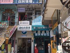 -猫咪博物馆(顶澳仔猫街店)