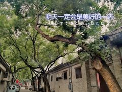 -北京市东城区东四九条小学