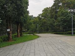 -金鸡山公园