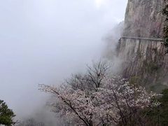 -明堂山风景区