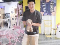 -浣熊柯尔鸭土拨鼠·电玩咖