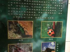 -上海昆虫博物馆