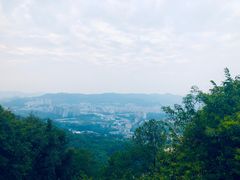 -云腾砂锅粥(龙津东路店)