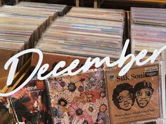 -树懒黑胶唱片店(中山路店)