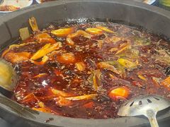石锅鱼-秦巴石锅鱼