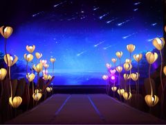 美雯婚庆企划-碧桂园凤凰城酒店(南京店)