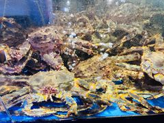 -蟹之国·精品蟹料理(极地店)