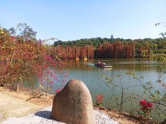 -星湖旅游景区七星岩