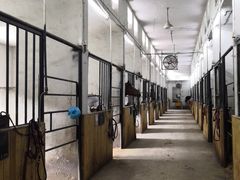 -枫露马术学院(藏书校区)