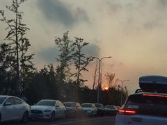 -上海滨江森林公园