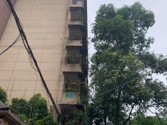 -抚琴第一烤(抚琴地铁站A口店)
