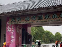 -上海海湾国家森林公园