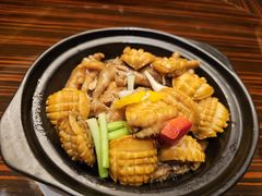 -湛江民大喜来登酒店-采悦轩中餐厅