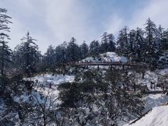-瓦屋山景区