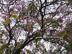 -华南国家植物园-售票处