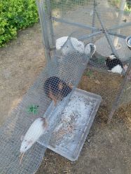 -萌宠亲子动物乐园(槐房万达店)