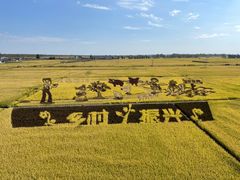 -稻梦空间冰雪小镇