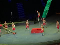 -珠海横琴长隆《卡卡虎奇遇记》