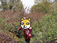 -昆山城市生态森林公园