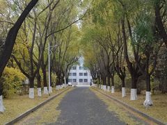 -吉林大学(南岭校区)