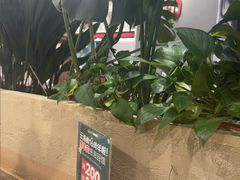 -云海肴·汽锅鸡·云南菜(曲江大悦城店)