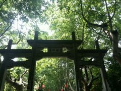 -杭州黄龙洞