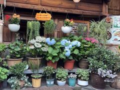 -龙姐私房菜(和顺古镇店)