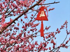 -无锡梅园公园