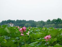 -苏堤停车场