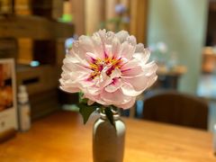 -天水蔬食料理(树德之光店)