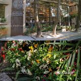 佛山探店｜先行图书.书香与啡香.这里都有