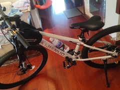 -道路口单车爱瓦士dahon大行