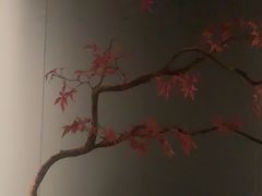 -臻品足道(佛祖岭店)