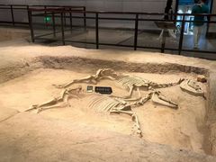 -洛阳周王城天子驾六博物馆