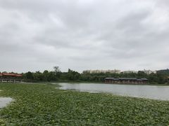 -洛龙公园