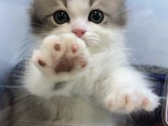 -新疆天山野生动物园