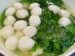 -丁老爷子苏香圆