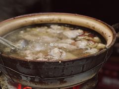 连州果园鸡-威邵鸡煲(西华路总店)