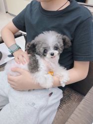 -MAGI美界造型