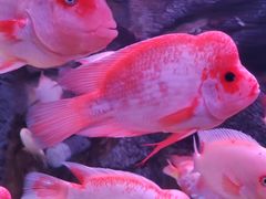 -泉城欧乐堡海洋极地世界