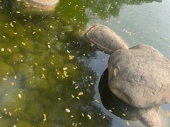 -莲湖公园