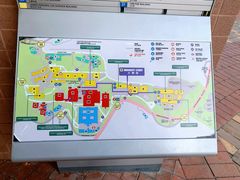-香港大学