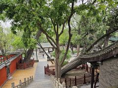 -晋祠公园